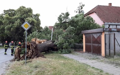 Bouřky způsobily v Jihomoravském kraji spoušť. V Brně padaly stromy, Hodonínsko bylo vytopené