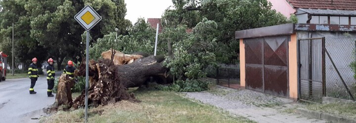 Bouřky způsobily v Jihomoravském kraji spoušť. V Brně padaly stromy, Hodonínsko bylo vytopené
