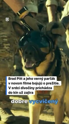 Brad Pitt a jeho verný parťák v novom filme bojujú o prežitie.V srdci divočiny prichádza do kín už zajtra