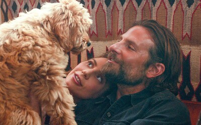 Bradley Cooper získal od organizácie PETA režisérske ocenenie za to, že do A Star is Born obsadil svojho psa