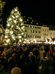 Bratislava čoskoro zaháji vianočnú sezónu. Na Hlavnom námestí dnes postavia vianočný stromček