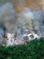 Brazílsky prezident tvrdí, že Amazonský prales zapálili charitatívne organizácie