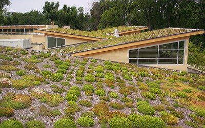 Brno dává 20 milionů do programu zelených střech. Zadržují vodu a ochlazují město