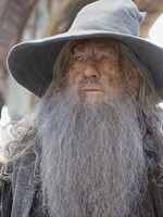 Brumbála a Gandalfa měl hrát stejný herec. Ian McKellen roli v Harrym Potterovi nakonec odmítl kvůli kritice
