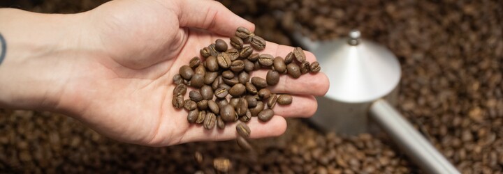 Bude káva v budoucnu vzácným zbožím? Klimatická změna ohrožuje i další důležité plodiny