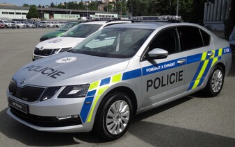 Byla zbita, znásilněna a dva dny vězněna. Policisté ženu odbyli s tím, že je pod vlivem drog