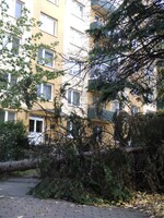 ČHMÚ: Na Česko se žene vichřice. Silný vítr bude lámat stromy a komplikovat dopravu