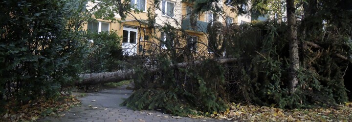 ČHMÚ: Na Česko se žene vichřice. Silný vítr bude lámat stromy a komplikovat dopravu