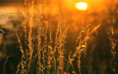 ČHMÚ: Studený konec srpna nahradí teploty mariánského léta. Denní maxima přesáhnou až 28 °C