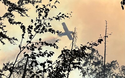 ČHMÚ: V Česku hrozí vysoký stupeň nebezpečí požárů. Jak jim předejít? 