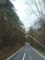 ČHMÚ: Ve středu se do Česka vrátí silný vítr, opět hrozí poškození stromů
