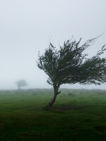 ČHMÚ rozšiřuje varování před silným větrem: V těchto krajích platí vysoký stupeň nebezpečí