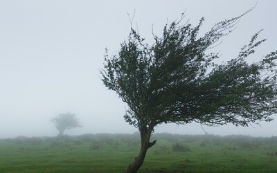 ČHMÚ varuje: Na několika místech republiky udeří silný vítr s nárazy nad 65 km/h