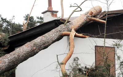ČHMÚ varuje: V Česku hrozí silný vítr i povodňové aktivity. Kde platí výstraha?