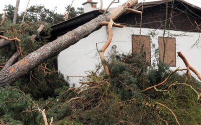 ČHMÚ varuje před silným větrem: Nárazy budou až 70 km/h, hrozí poškození stromů a menší škody na budovách