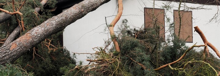 ČHMÚ varuje před silným větrem: Nárazy budou až 70 km/h, hrozí poškození stromů a menší škody na budovách