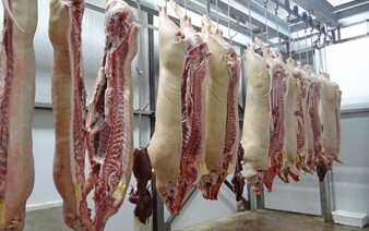 Čaká Slovákov nedostatok mäsa či drahšie ceny? Zisťovali sme, ako vírus slintačky a krívačky môže ovplyvniť trh