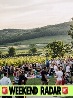 Čaká ťa víkend plný hudby: Bratislava ožije raveom, drum & bassom aj disco plavbou (Weekend Radar)