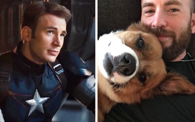 Captain America Chris Evans nechtiac zverejnil fotku svojho penisu. Celý internet sa mu snaží pomôcť, aby sa už ďalej nešírila