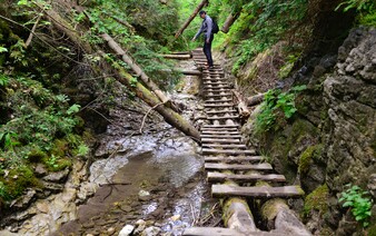 Časť obľúbenej turistickej destinácie na Slovensku je opäť otvorená. Sprístupnili najdlhšiu roklinu v Slovenskom raji