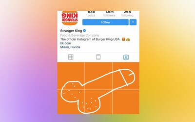Celý svet pridáva penisy na Instagram Burger Kingu po tom, čo údajne ukradli umelcove dielo a použili ho na komerčnú reklamu