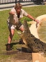 Celý život čelil najnebezpečnejším aligátorom na svete, nakoniec ho zabila raja. Toto je mrazivý príbeh legendárneho Steva Irwina