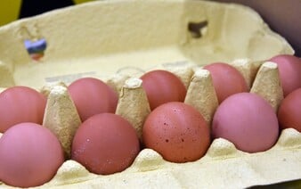 Cena vajec na Slovensku zostáva rovnaká. Poslanci neznížili DPH na 5 %