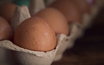 Cena vajec pred sviatkami narastie. Dôvodom bude aj vtáčia chrípka u veľkého slovenského producenta