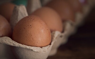 Cena vajec pred sviatkami narastie. Dôvodom bude aj vtáčia chrípka u veľkého slovenského producenta