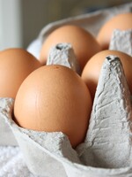 Cena vajec půjde zřejmě nahoru, velkochovy kosí ptačí chřipka