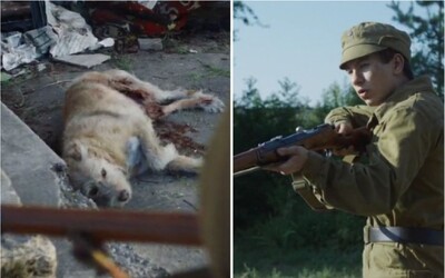 Černobylští psi čekali na majitele a střežili své domovy. Lovce se zbraněmi uvítali s radostí