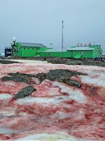 Červený led na Antarktidě vypadá jako z hororového filmu. Jde přitom o běžný jev, který se opakuje každý rok