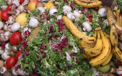 Češi a Češky vyhazují obrovské množství jídla. Kolik peněz ušetříš, když nebudeš plýtvat?