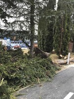 Českem se žene vichřice. Policie hlásí převrácená auta, popadané stromy a elektrické vedení.