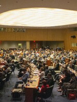 Česko chce nahradit Rusko v Radě OSN pro lidská práva. Ministerstvo zveřejnilo seznam závazků