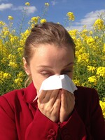 Česko zasypal žlutý pyl. Míra ohrožení pylem je mimořádná, varuje ČHMÚ