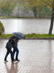 Česku hrozí silné deště a bouřky. Meteorologové vydali výstrahu v několika krajích
