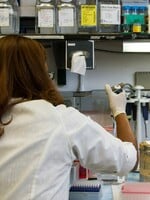 Českým vedcom sa podaril prelomový objav: Vyvinuli nanokrúžky, ktoré cielene ničia rakovinové bunky