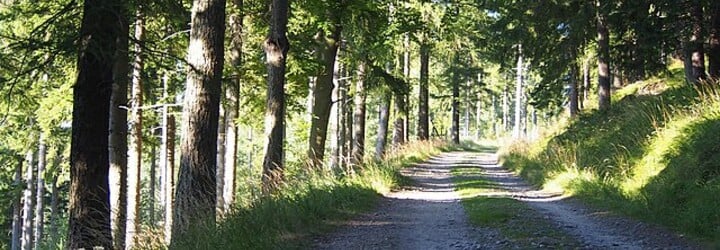 Chystáš se v létě do Krkonošského národního parku? Podívej se, jaká pravidla musíš dodržovat