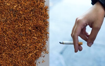 Cigarety by mohli opäť zdražieť. Európska únia vraj pripravuje návrh na zvýšenie dane