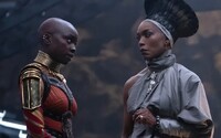 Čína zřejmě zakáže dva superhrdinské filmy. Black Panthera kvůli queer postávám, Black Adama kvůli fotce herce s dalajlámou
