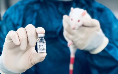 Čínská vláda povolila testování nové vakcíny na pacientech ve Wu-chanu