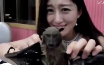 Čínská youtuberka se omluvila za video, na kterém jí netopýra. Právě taková pochoutka je pravděpodobně zdrojem koronaviru