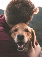 Citáty o psoch: 20 myšlienok, ktoré vysvetľujú, prečo je pes najlepším priateľom človeka