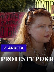 Čo odkazujú protestujúci za odstúpenie Šimkovičovej a Suska? (ANKETA)