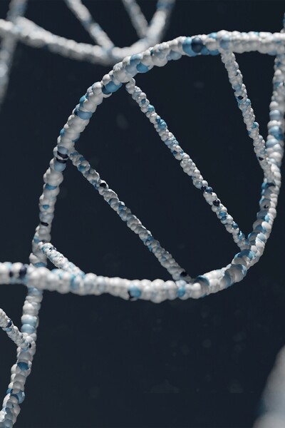 Čo skrýva moje DNA? Vieme, ako získať odpoveď rýchlo a zdarma