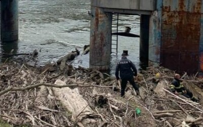 Ďalšia záhadná smrť v bratislavskom prístave. Polícia pri brehu Dunaja objavila telo neznámeho muža