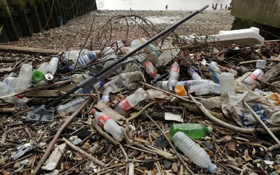 Ďalšie slovenské mesto dalo stopku jednorazovým plastom na verejných podujatiach, chce zabrániť vzniku zbytočného odpadu