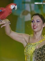 Daniela pracuje v cirkuse už 11 rokov: Zvieratá na vystúpeniach určite netýrame, volala som k nám aj Slobodu zvierat (Rozhovor)