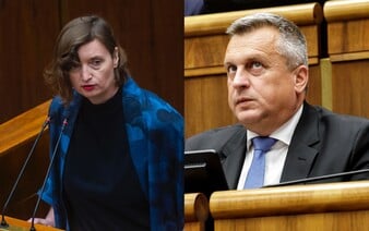 Danko vykázal z rokovacej sály poslankyňu Plavákovú (PS). Vadili mu dúhové nálepky na jej počítači